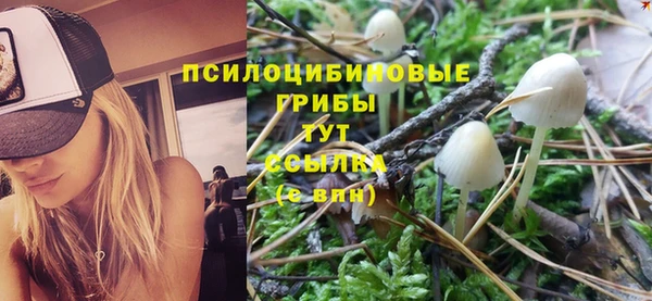 а пвп мука Балахна